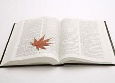 卡利亚里主场失利，保级前景雪上加霜